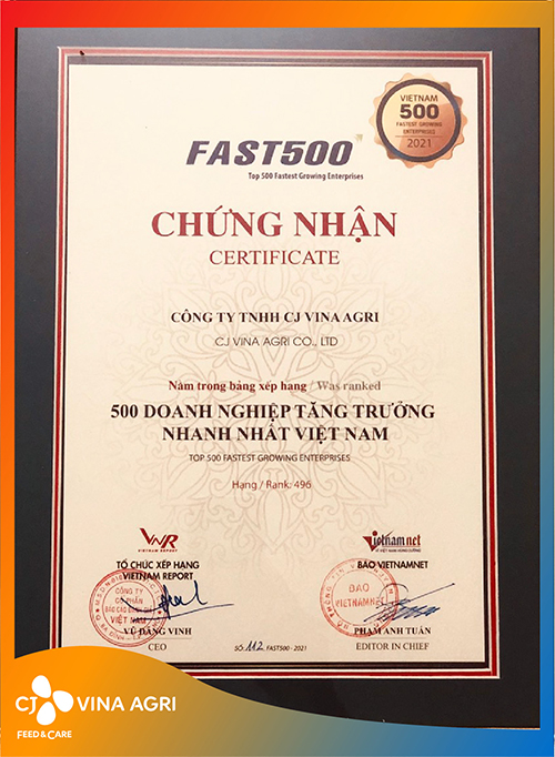 TOP 500 FASTEST GROWING ENTERPRISES IN VIETNAM
