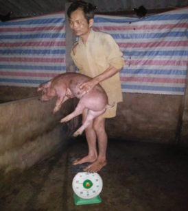 Anh Hai pig farm (Nhut Ninh Commune, Tan Tru District, Long An Province)