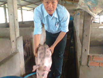 Anh Ba Lit pig farm – 30 sows (Rach Tranh district, Long An province)