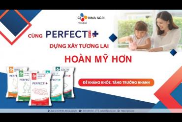 INTRODUCTION OF PERFECT+ PRODUCTS